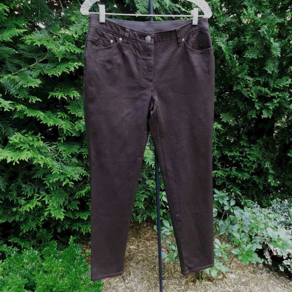 Chico's Denim - So Slimming by Chico's Dark Brown 5-Pkt Skinny Jeans